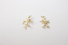 Cargar imagen en el visor de la galería, Aretes Amplifica