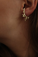 Cargar imagen en el visor de la galería, Aretes Amplifica