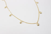 Cargar imagen en el visor de la galería, Collar pulgas