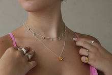 Cargar imagen en el visor de la galería, Collar pulgas