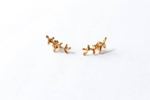 Cargar imagen en el visor de la galería, Aretes Rama