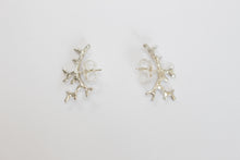 Cargar imagen en el visor de la galería, Aretes Amplifica