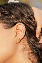 Cargar imagen en el visor de la galería, Aretes Rama