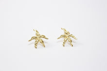 Cargar imagen en el visor de la galería, Aretes estrella de mar
