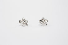 Cargar imagen en el visor de la galería, Aretes orquídea
